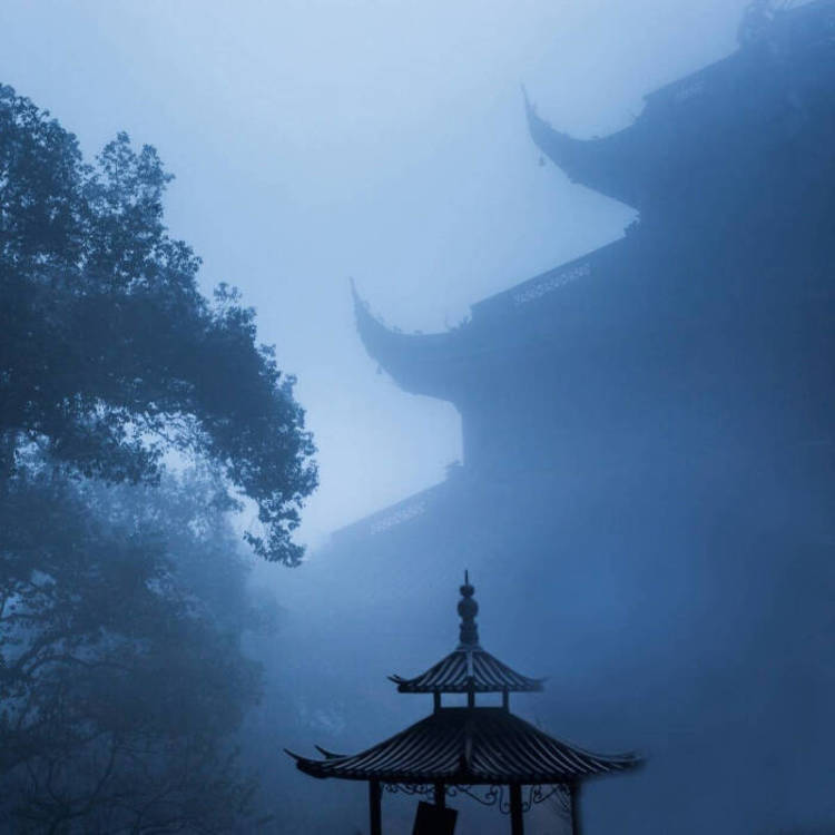 青木康直 - 动漫新番免费在线观看 - 在线影视
